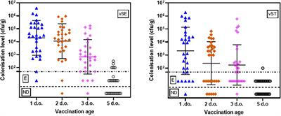 Early vaccination of laying hens with the live bivalent Salmonella vaccine AviPro™ Salmonella DUO results in successful vaccine uptake and increased gut colonization